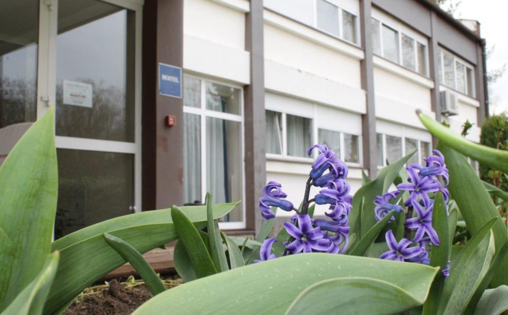 Hostel Rakitje-rakitje Rakitje